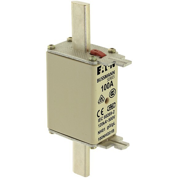 Saugiklis, NH01, 100A, 500V, gL/gG