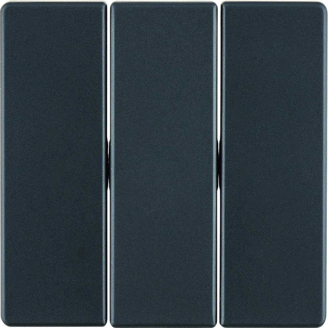 Klavišas 3-jų klavišų jungikliui, Berker Q1/ Q3, antracito velvetas
