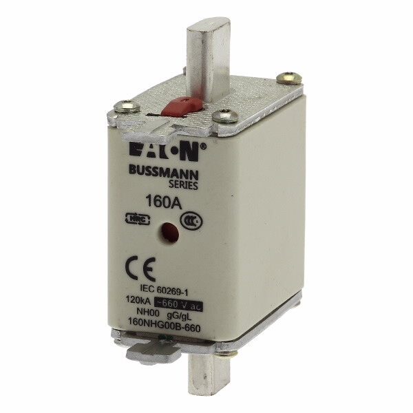 Saugiklis su indikacija, NH00, 160A 660V gL/gG