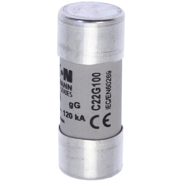 Cilindrinis saugiklis, 22×58 mm, 100A, gG, 400V, AC tipas