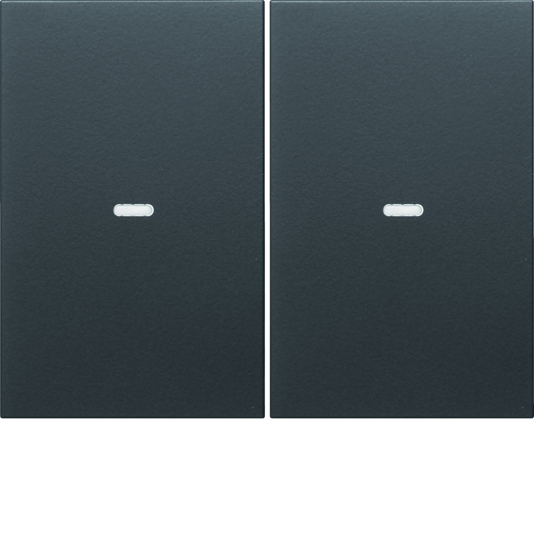 Dangtelis KNX mygtukui, 2-jų klavišų, Berker K1/K5, antracitas
