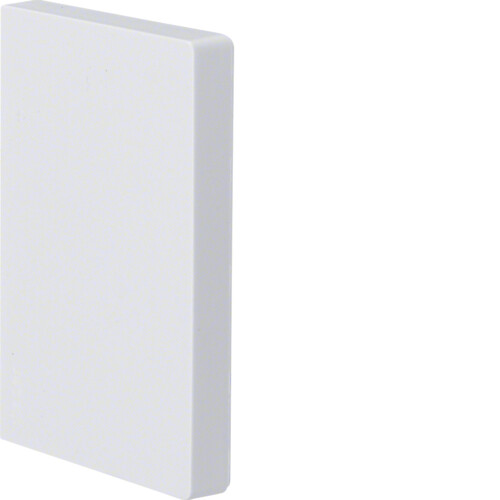 Kanalo PVC BRP galinis dangtelis, 65X100 mm, RAL9010