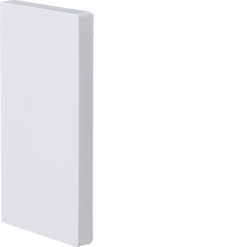 Kanalo BRP galinis dangtelis, 65X130 mm, RAL9010