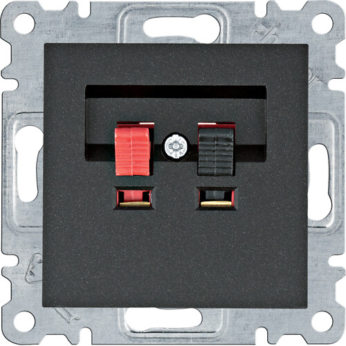 Audio ligzda, melna