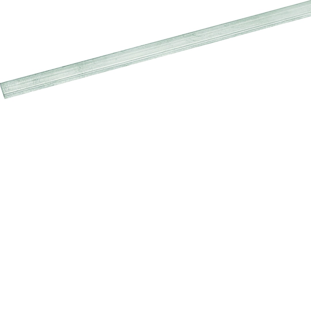 N-kopne 10x3mm, garums: 1m