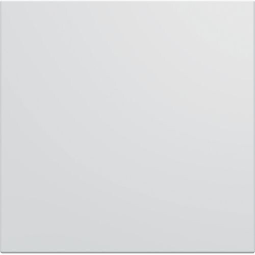 Blank plate