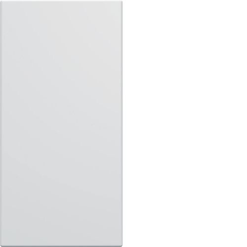 Blank plate