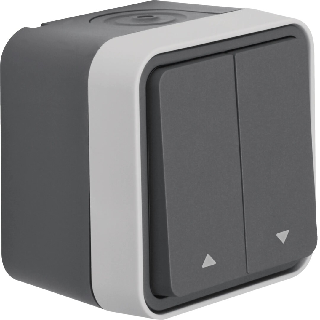 Verhokruunupainike pinta 1-napainen, 10A/250V, IP55, W.1, harmaa ECO