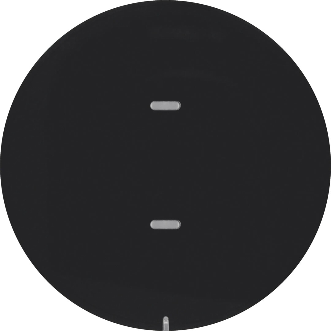 Painike 1-osainen merkintäikkunalla KNX R.x musta kiiltävä