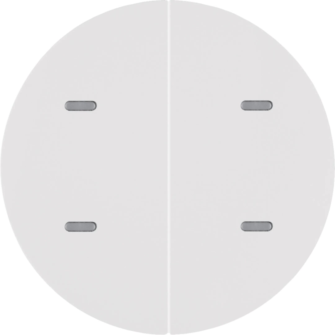 Painike 2-osainen merkintäikkunalla KNX R.x puhtaanvalkoinen kiiltävä